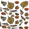 Dark Shells - 104016278 - Ceramic Decal - Enamel Decal - Glass Decal - Waterslide Decal - 3 Different Size Sheet (Images) to Choose from. Choose Either Ceramic (Enamel) or Glass Fusing Decals view 1
