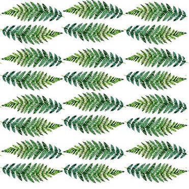 Feather Ferns - 39619 - Ceramic Decal - Enamel Decal - Glass Decal - Waterslide Decal - 3 Different Size Sheet (Images) to Choose from. Choose Either Ceramic (Enamel) or Glass Fusing Decals