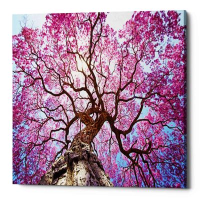 Epic Graffiti 'Thing of Beauty' Canvas Wall Art, 26"x18"