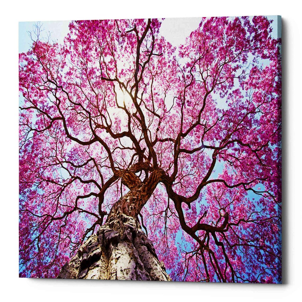 Epic Graffiti 'Thing of Beauty' Canvas Wall Art, 26"x18"