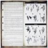 Games Workshop Warhammer Middle Earth - The Three Hunters view 3