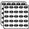 Black Oval Protected by 2nd Amendment (Gun Caliber Handgun Carry) Sticker for Scrapbooking 1" 50 Pack Stickers Waterproof Vinyl Decals view 1