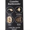One Fang/Bone/Skin/Rattle Rattlesnake Pack (AR-598-50PK) C4E view 1