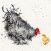 Bothy Threads Mother Hen Counted Cross Stitch Kit 26x26cm XHD50 view 1