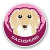 Dachshund Dog Sticker for Scrapbooking Waterproof Vinyl Stickers for Water Bottle, Laptop & Phone Case 50 Pack view 2