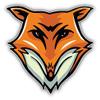 Fox Face Mascot Art Decorative Scrapbooking Sticker Waterproof Vinyl Stickers for Water Bottle, Laptop & Phone Case 50 Pack view 2