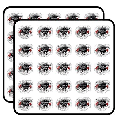 Havana Cuba Travel Art Decorative Scrapbooking Sticker Waterproof Vinyl Stickers for Water Bottle, Laptop & Phone Case 50 Pack