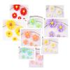 50pcs 10mm Tiny Resin Roses Flower FlatBacks Cabochons Deco F1221x2 (Daisy, 10mm) view 3