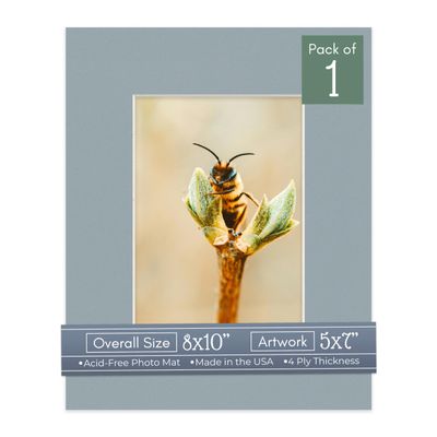 CountryArtHouse Metallic Silver Acid Free 8x10 Picture Frame Mats with White Core Bevel Cut for 5x7 Pictures - Fits 8x10 Frame - One Mat - With Bag & Backing
