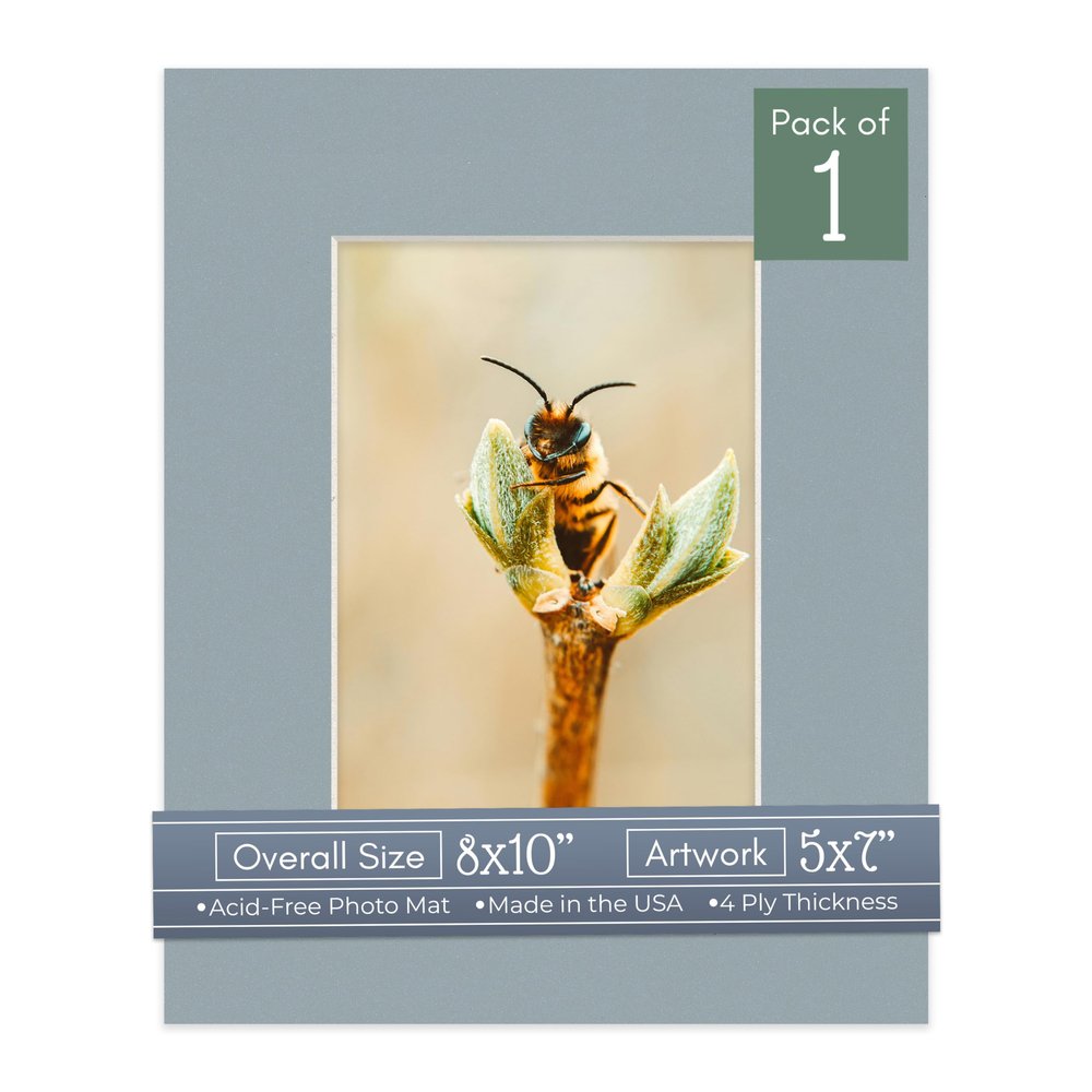 CountryArtHouse Metallic Silver Acid Free 8x10 Picture Frame Mats with White Core Bevel Cut for 5x7 Pictures - Fits 8x10 Frame - One Mat - With Bag & Backing
