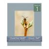 CountryArtHouse Metallic Silver Acid Free 8x10 Picture Frame Mats with White Core Bevel Cut for 5x7 Pictures - Fits 8x10 Frame - One Mat - With Bag & Backing view 1