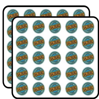 I Love Salzburg City Austria Label Decorative Scrapbooking Sticker Waterproof Vinyl Stickers for Water Bottle, Laptop & Phone Case 50 Pack
