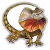 Frill Necked Lizard Sticker for Scrapbooking Waterproof Vinyl Stickers for Water Bottle, Laptop & Phone Case 50 Pack view 2