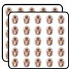 Snow Monkey Head Decorative Scrapbooking Sticker Waterproof Vinyl Stickers for Water Bottle, Laptop & Phone Case 50 Pack view 1