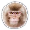 Snow Monkey Head Decorative Scrapbooking Sticker Waterproof Vinyl Stickers for Water Bottle, Laptop & Phone Case 50 Pack view 2