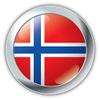 Norway Flag Glossy Silver Label Decorative Scrapbooking Sticker Waterproof Vinyl Stickers for Water Bottle, Laptop & Phone Case 50 Pack view 2