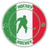 Italy Flag Hockey Sport Emblem Decorative Scrapbooking Sticker Waterproof Vinyl Stickers for Water Bottle, Laptop & Phone Case 50 Pack view 2
