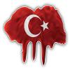 Turkey Flag Blot Decorative Scrapbooking Sticker Waterproof Vinyl Stickers for Water Bottle, Laptop & Phone Case 50 Pack view 2
