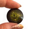 Dark Green Gharial Crocodile Glass Eyes Realistic Animal Pair for Art Dolls, Sculptures, Props, Masks, Fursuits, Jewelry Making, Taxidermy, and More (25mm) view 2