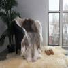 Sunshine Cowhides 100% Genuine Nordic Reindeer Hide Rug - Greyish Animal Skin Rugs for Bedroom, Living Room, Office, & Bathroom, Premium Dcor for Aesthetic Living - XL (3-4 x 4-5.5 ft) view 2