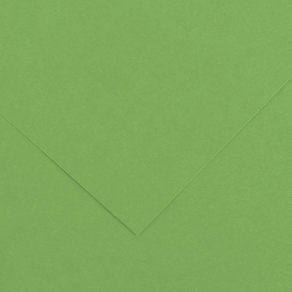 Canson Colorline Art Paper - 19" x 25", 150 GSM, Bright Green