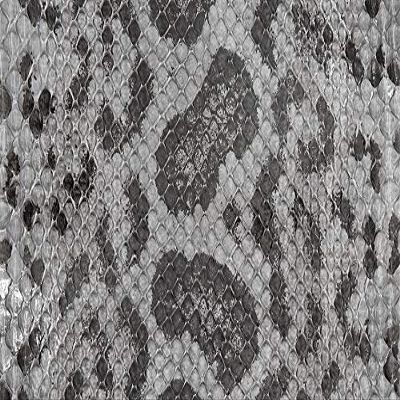 Anaconda Skin Glazed Grey (1" x 1" Swatch)