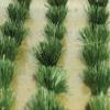 Bachmann 32507 Detachable Grass Bushes (30/Pk) view 1