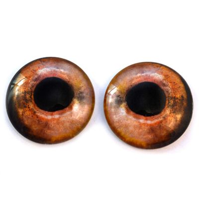 Realistic Wild Fish Glass Eyes Animal Pair for Art Doll Parts, Sculpture, Prop, Mask, Fursuit Supplies, Jewelry Making Cabochons, Taxidermy, Fishing Lures, and More (14mm)