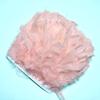 Mathenia Crafts, 2Meter/Lot Fluffy Leather Powder Turkey Feathers Trim Fringe 10-15cm DIY Colored Feather Ribbon Carnival Clothing Dress Plumes - (Color: Bloodtooth) view 1