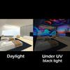 Blacklight Invisible Fluorescent Powder Pigment, Visible only at UV 365 nm Black Light Water Based (Red, 0.35 oz(10 g)) view 3