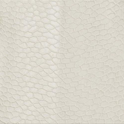 Beaver Tail Semi-Matte Winter Grade 2 (1" x 1" Swatch)