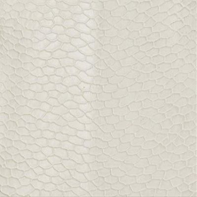 Beaver Tail Semi-Matte Winter Grade 1 (1" x 1" Swatch)