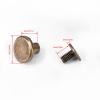 20Pcs Flat Leather Rivets Chicago Binding Screws Posts Assortment Kit for Scrapbook Photo Albums Leather Repair (8mm) view 2