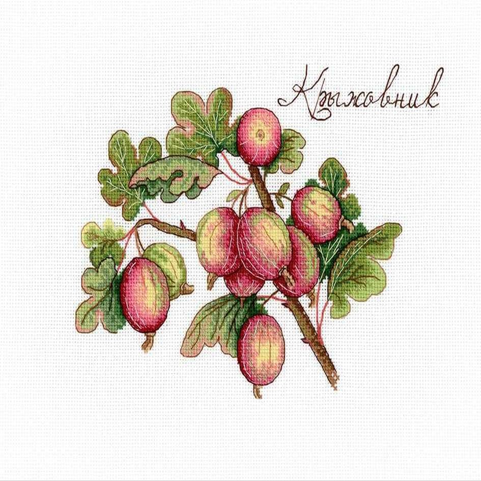 MP Studia Cross Stitch Embroidery Kits for Adults and Beginners Berries - Gooseberry 15x20cm/5.91x7.87 18ct.
