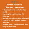 Grow Young Fitness Better Balance Exercise for Seniors - Improve Balance - Chapter One Senior Exercise DVD view 4