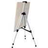 Folding Telescopic Aluminum Field Easel Art Painting Stand Silver Tripod with Carry Bag (Silver) view 3
