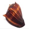 PEPPERLONELY 1 PC Natural Fiber Conch Sea Shells for Home Decor and Display, 5 Inch ~ 6 Inch view 2