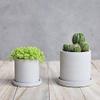 Silicone Concrete Mold Coaster Molds Succulent Plants Flower Pot Mould view 4