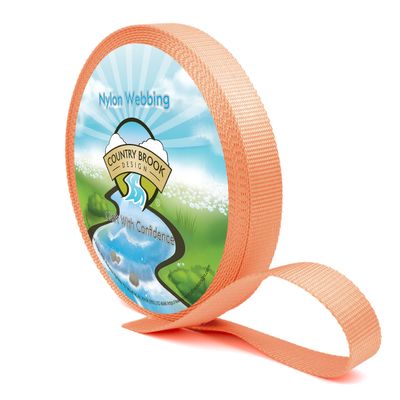 Country Brook Design - Nylon Webbing 1 Inch Straps for Tactical Goods, Backpack Straps, Loops, Slings, Outdoors, Indoors, Crafting, DIY (Coral, 10 Yards)