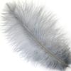 ZUCKER 1pc Ostrich Feather Plume - 9-12 inch Wedding Decoration, Home Decor or Costume Accessory - Silver view 1