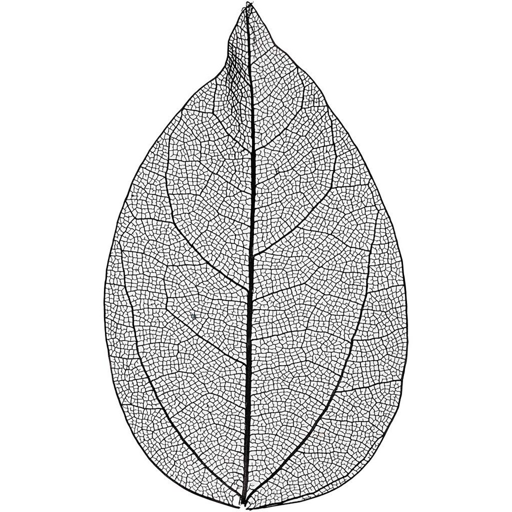 Happy Moments Skeleton Leaves, Black, 6-8 cm, 20pcs