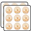 Monaco Monte Carlo 2" 18 Pack Planner Calender Scrapbooking Crafting Stickers view 1