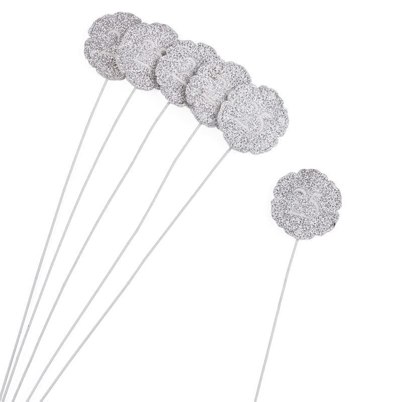 Group of 6 Silver "25th" Anniversary Plastic Floral Picks by Factory Direct Craft for 25th Anniversary Arrangements and Celebratory Florals