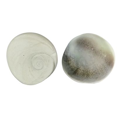 Shubhanjali Gomti Chakra Original 1 Pieces 35 Gm Natural Big Size Gomati Chakra for Diwali Puja Wealth Luck Financial Growth Pooja Vastu