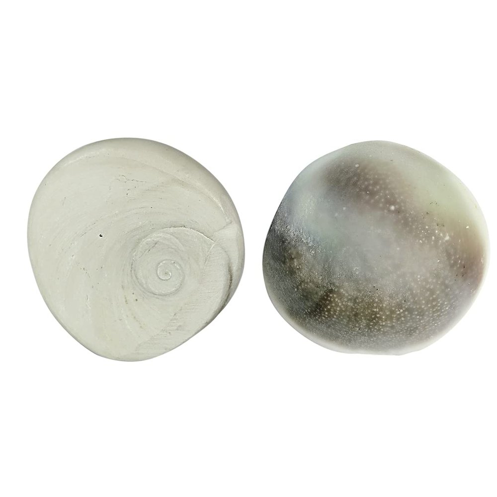 Shubhanjali Gomti Chakra Original 1 Pieces 35 Gm Natural Big Size Gomati Chakra for Diwali Puja Wealth Luck Financial Growth Pooja Vastu