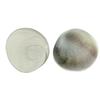 Shubhanjali Gomti Chakra Original 1 Pieces 35 Gm Natural Big Size Gomati Chakra for Diwali Puja Wealth Luck Financial Growth Pooja Vastu view 1