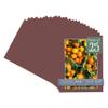 CountryArtHouse Maroon Acid Free 16x20 Picture Frame Mats with White Core Bevel Cut for 12x18 Pictures - Fits 16x20 Frame - Pack of 25 Mats view 1