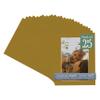 CountryArtHouse Metallic Gold Acid Free 16x20 Picture Frame Mats with White Core Bevel Cut for 11x17 Pictures - Fits 16x20 Frame - Pack of 25 Mats view 1