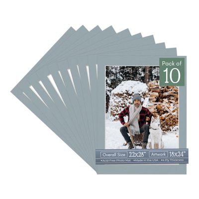 CountryArtHouse Metallic Silver Acid Free 22x28 Picture Frame Mats with White Core Bevel Cut for 18x24 Pictures - Fits 22x28 Frame - Pack of 10 Mats