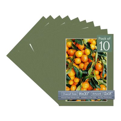 CountryArtHouse Dill Acid Free 16x20 Picture Frame Mats with White Core Bevel Cut for 12x18 Pictures - Fits 16x20 Frame - Pack of 10 Mats